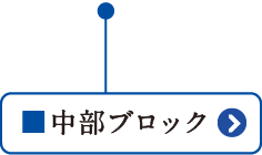 中部ブロック